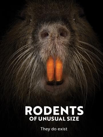 Rodents of Unusual Size
