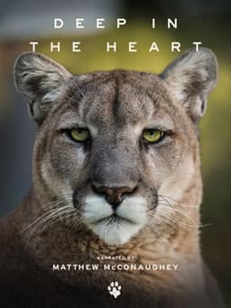 Deep in the Heart: A Texas Wildlife Story