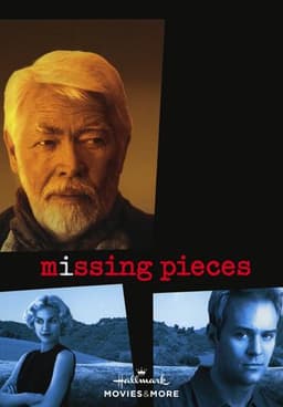 Missing Pieces
