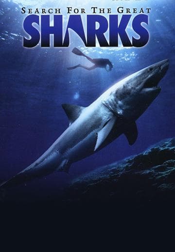 Search for the Great Sharks
