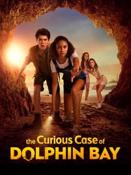 The Curious Case of Dolphin Bay