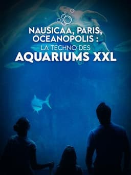 Beethoven: Symphony no. 9 - Leipzig | Paris | Milan | Vienna