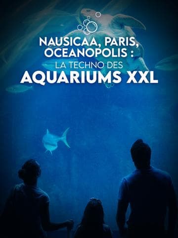 Beethoven: Symphony no. 9 - Leipzig | Paris | Milan | Vienna