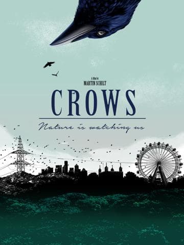 Crows - Nature Is Watching Us