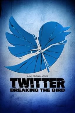 Twitter: Breaking the Bird