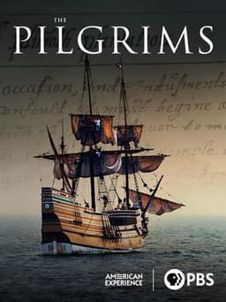 The Pilgrims