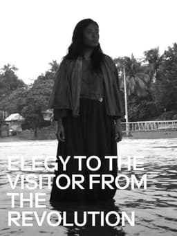Elegy to the Visitor from the Revolution
