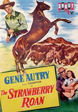The Strawberry Roan