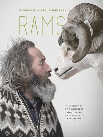 Rams