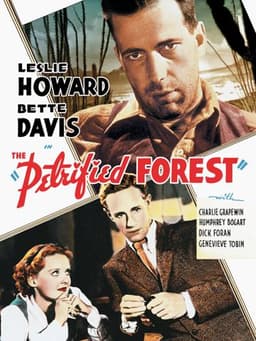 The Petrified Forest