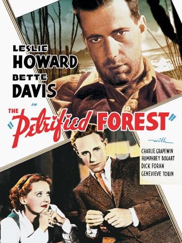 The Petrified Forest