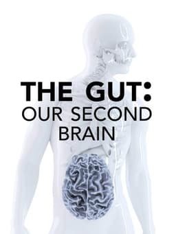 The Gut: Our Second Brain