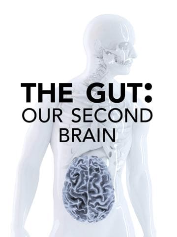 The Gut: Our Second Brain