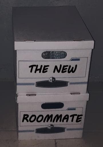 The New Roommate