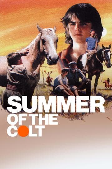 Summer of the Colt