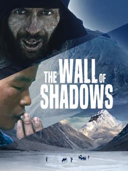 The Wall of Shadows
