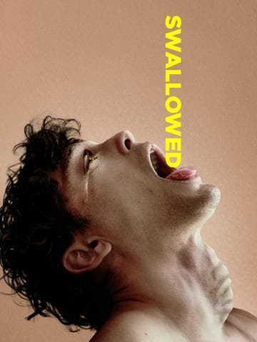 Swallowed