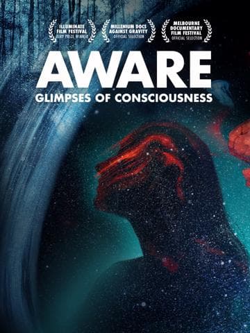 Aware: Glimpses of Consciousness