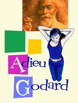 Adieu Godard