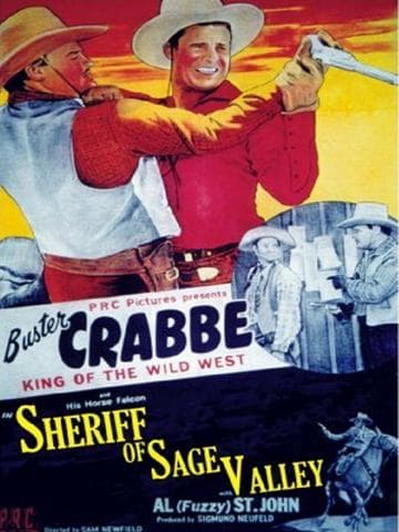 Sheriff of Sage Valley