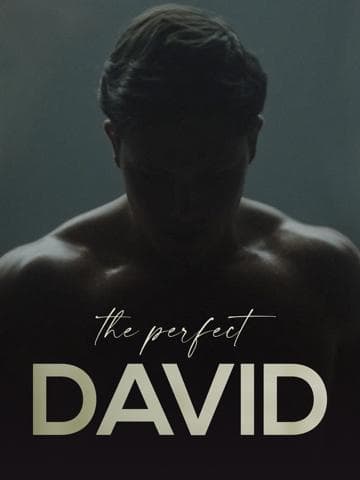 The Perfect David