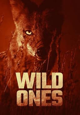 The Wild Ones