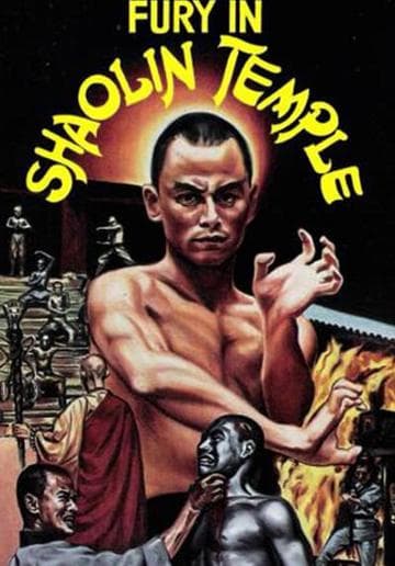 Fury in Shaolin Temple