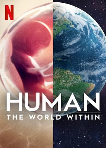 Human: The World Within