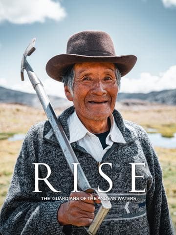 Rise