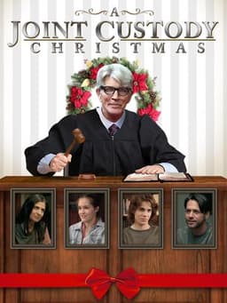 A Joint Custody Christmas