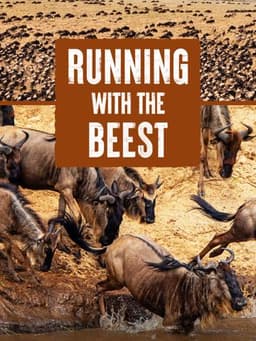 Running With The Beest