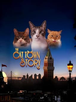 The Cat Town Story