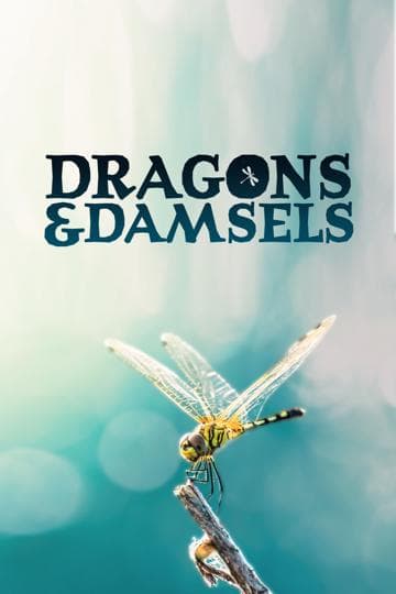 Dragons and Damsels