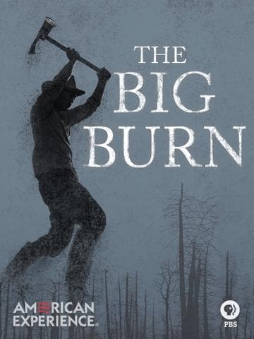 The Big Burn
