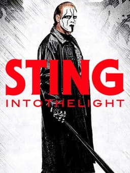 Sting: Beyond The Police