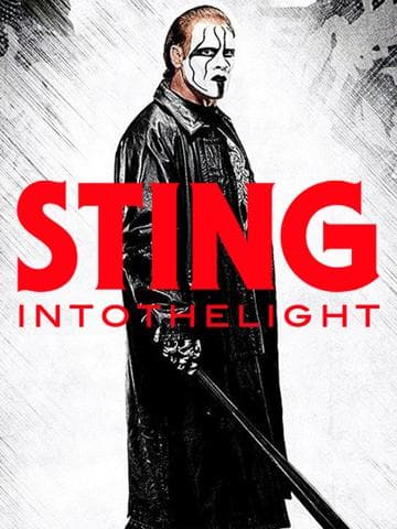 Sting: Beyond The Police