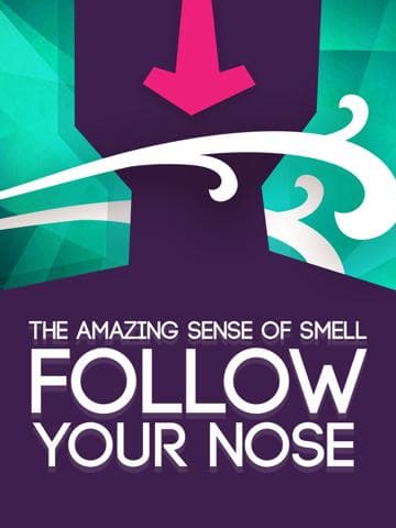Follow Your Nose: Cracking Smell's Code