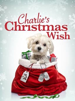 Charlie's Christmas Wish