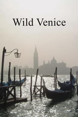 Wild Venice