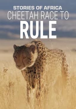 Cheetah: Race to Rule