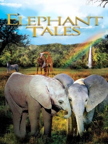 Elephant Tales