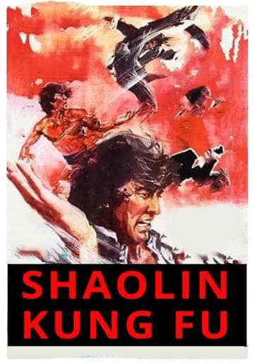 Shaolin Kung Fu