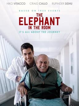 The Elephant In The Room