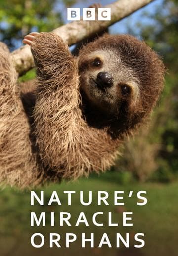 Nature's Miracle Orphans