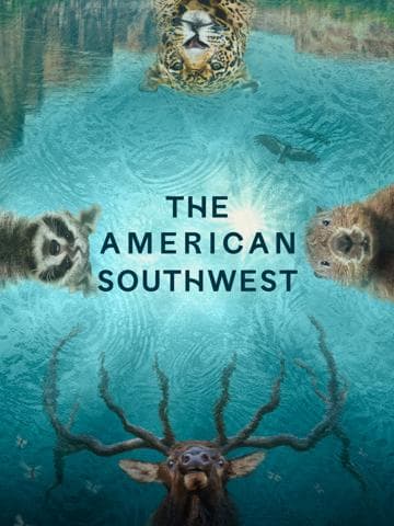 The American Southwest