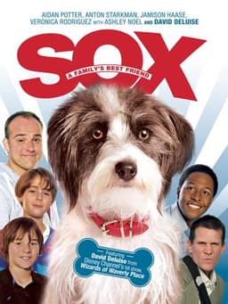 Sox: A Family's Best Friend