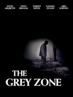 The Grey Zone