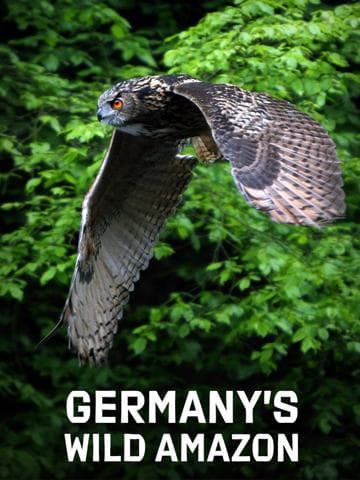 Germany's Wild Amazon