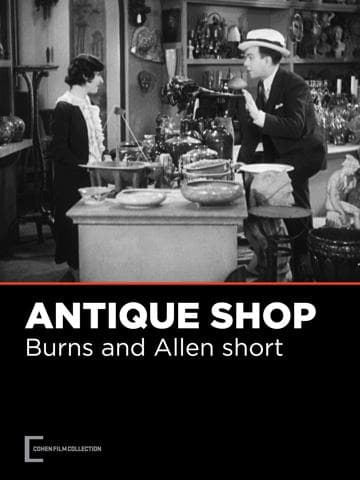 The Antique Shop