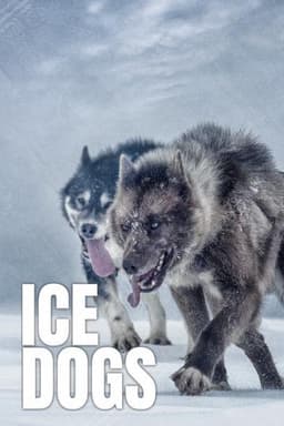 Ice Dogs: The Only Companions Worth Having